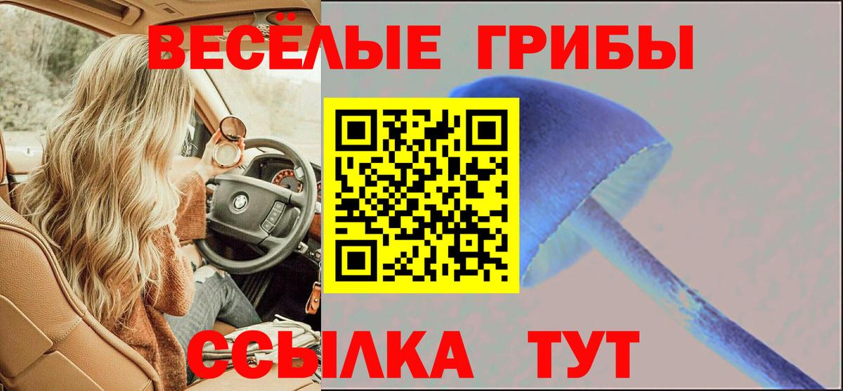 Кулебаки  Вход с VPN  Марихуана  Альфа ПВП СК кристаллы  LSD-25  Мефедрон  МЕФ   ГАШИШ 
