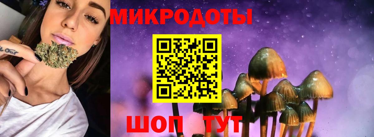 Псилоцибиновые грибы Cubensis Кулебаки
